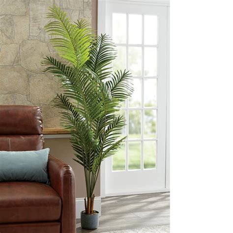 6 Palm Tree Ashro