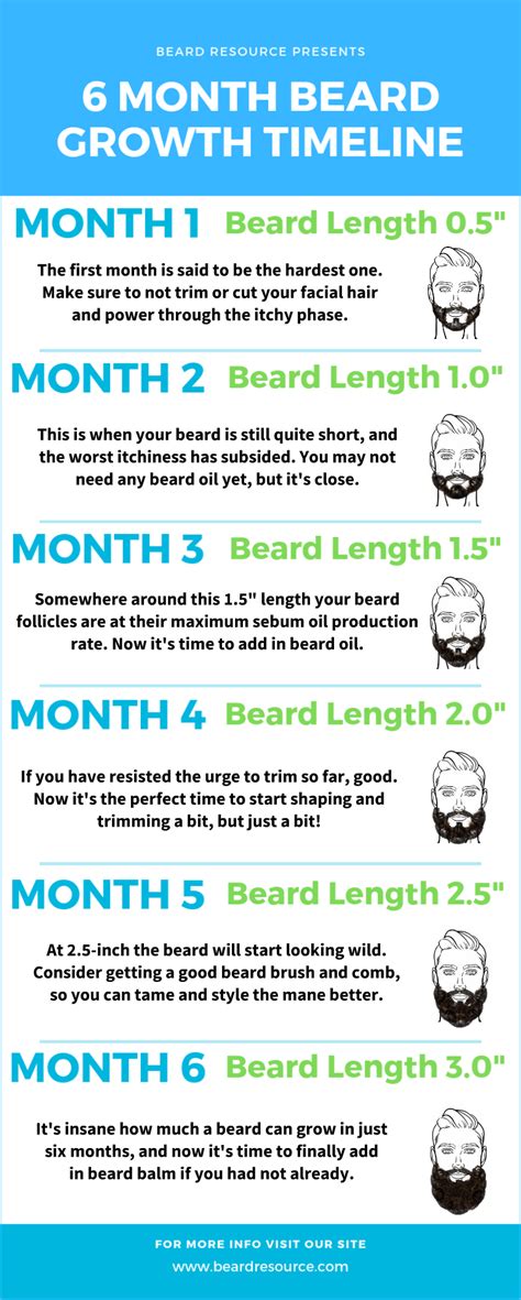 Growing Facial Hair Timeline Infographic Beard Growth Grow Beard