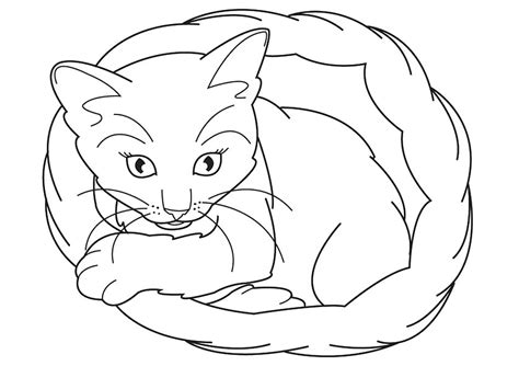 Free Printable Kitten Coloring Pages For Kids Best