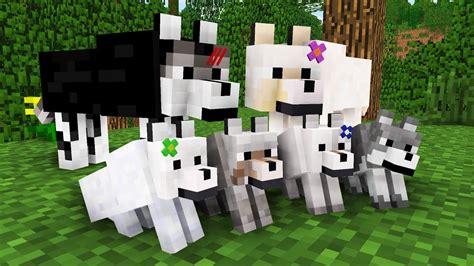 Cómo domesticar lobos y perros en Minecraft | Kyaooo