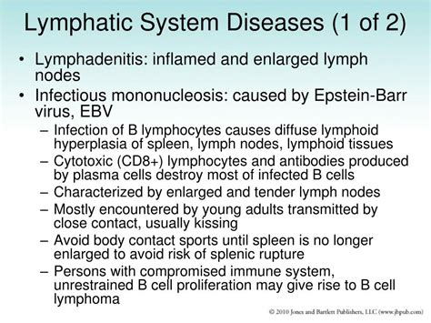 Ppt The Hematopoietic And Lymphatic Systems Powerpoint Presentation