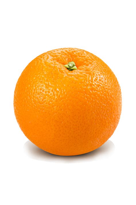Mandarin Kinnow Citrus Fruits Pakistan Trade Portal