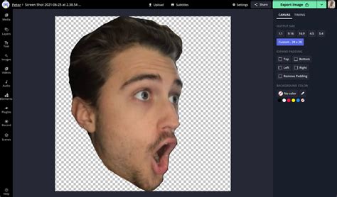 How To Make Your Own Twitch Emotes For Free