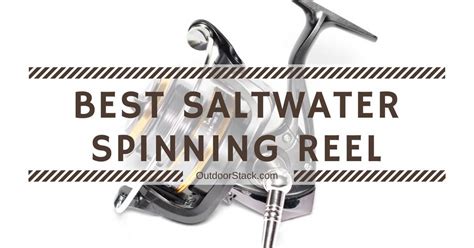 12 Best Saltwater Spinning Reels Under 200 In 2024 Reviews