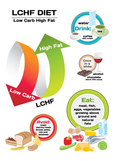 The Low Carb High Fat Diet Restore Physiotherapy