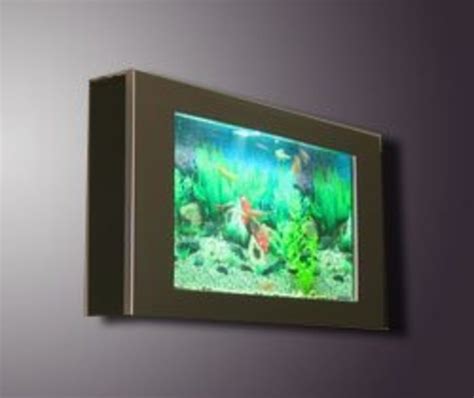 A Guide To Wall Mounted And In Wall Fish Tanks