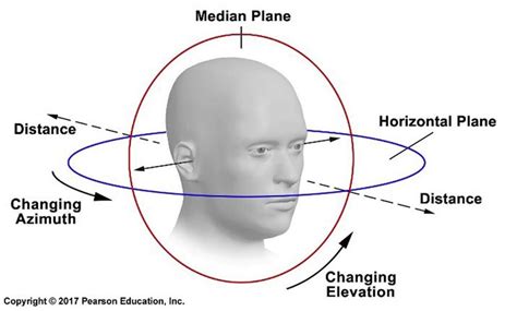 How Do Human Hear Sound The Hearing Mechanism Explained Techcult