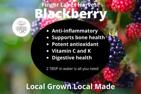 Blackberry Shrub Finger Lakes Harvest