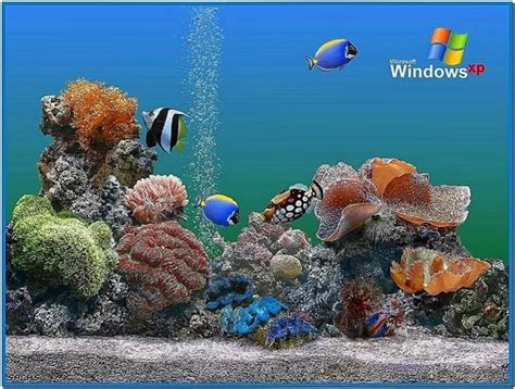 Windows XP Aquarium Screensavers - Download-Screensavers.biz