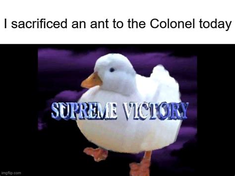 Image Tagged In Blank White Templatesupreme Victory Duck Imgflip