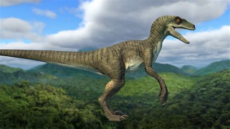Jurassic World Camp Cretaceous Velociraptor