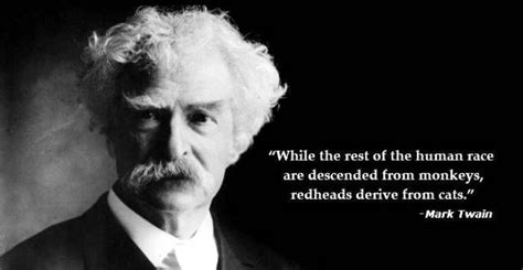Extremely Cute Kitten 2nd February 2015 Mark Twain Quotes Redhead