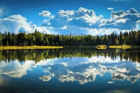 Clouds And Boreal Forest Reflect On 48 Mile Pond Chena River State