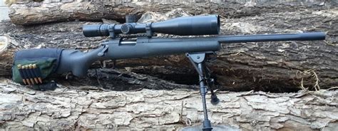 Best 223 Bolt Action Rifle 3 The Camping Trips
