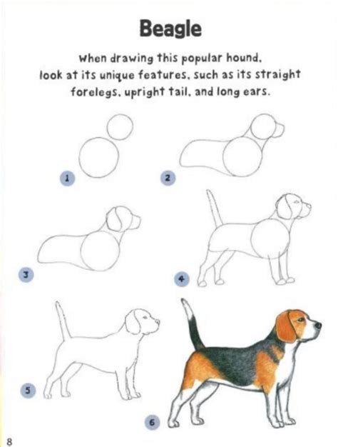 Easy Steps To Draw A Dog