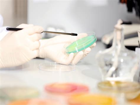Rapid Molecular Microbiological Testing Service Castco Testing Centre