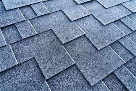 7 Types Of Roof Shingles You Should Know About