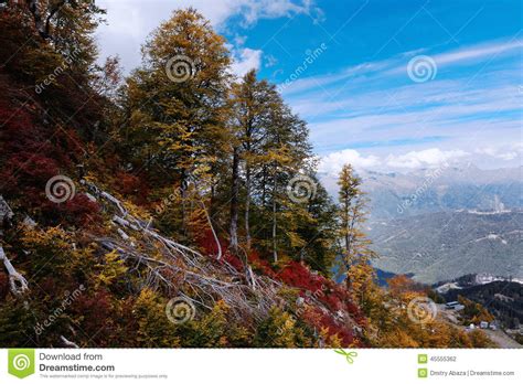 Beautiful Autumn Mountain Landscape Stock Photo Image Of Mountains