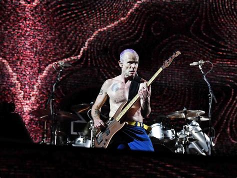 Red Hot Chili Peppers Melbourne Sydney Brisbane Pics Daily Telegraph