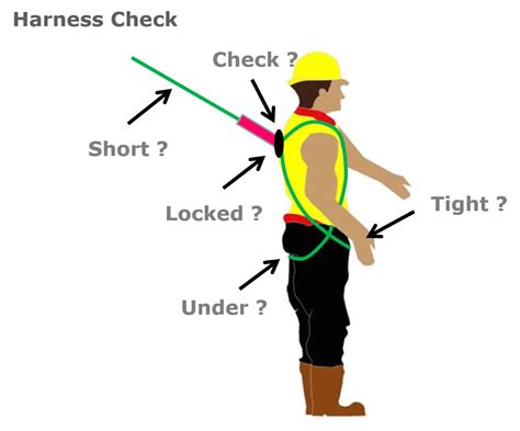 Harness Checks Higher Safety