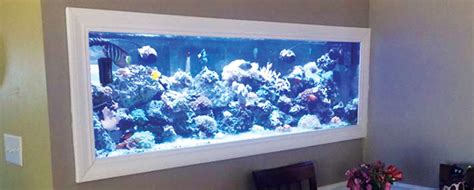 Custom Aquariums Acrylic And Glass Fish Tanks