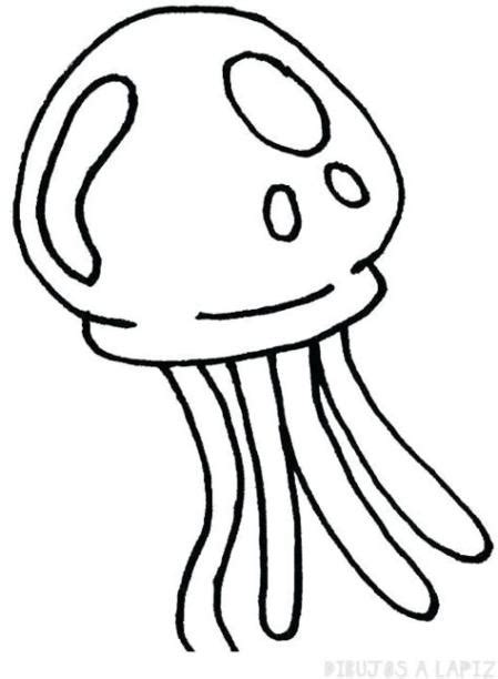 Cómo Dibujar Una Medusa De Mar 】 Paso A Paso Muy Fácil 2024 Dibuja Fácil