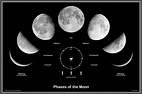 Fases de la Luna ~ Con-CIENCIA