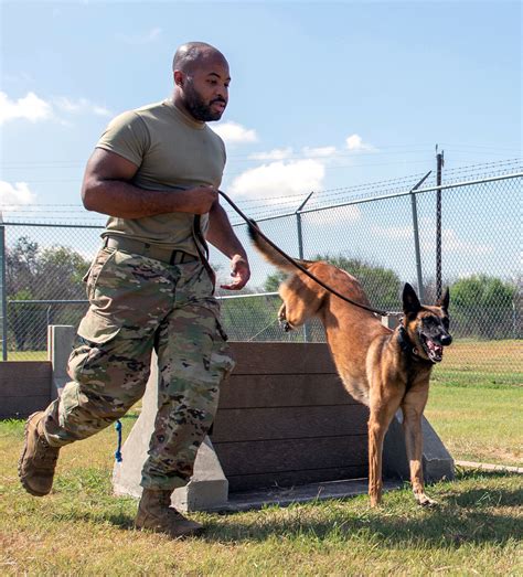 Military Working Dogs Jbsas Four Legged Defenders Air Education And