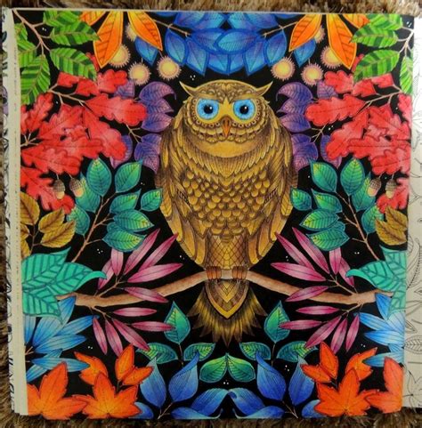 For peculiar children with these detailed coloring pages taken from the soon to be. Owl Secret Garden. Coruja Jardim Secreto. Johanna Basford ...
