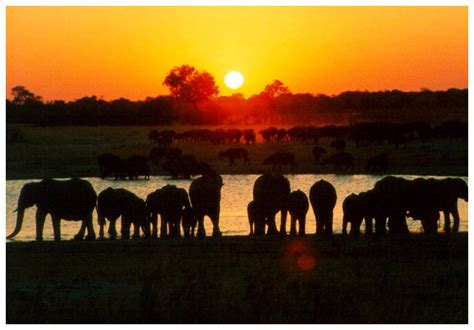 Hwange National Park Zimbabwe Photos — Hey Brian Hwange National Park National Parks