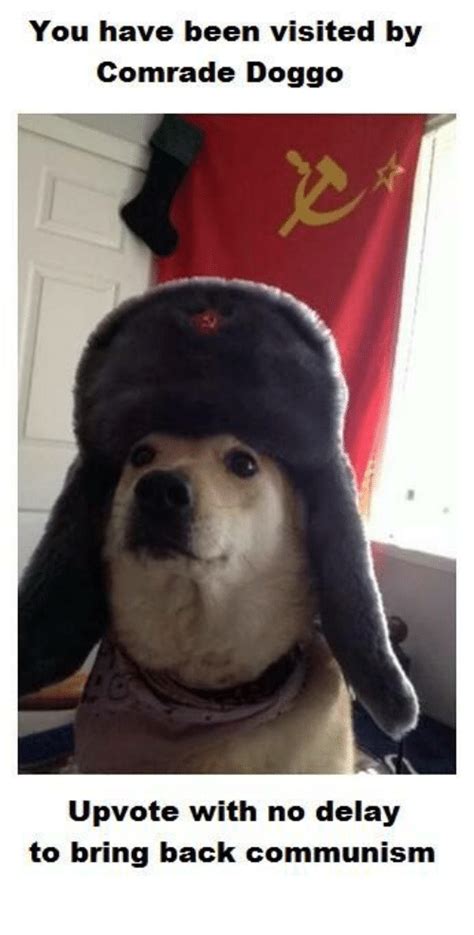 You Have Been Visited By Comrade Doggo Upvote With No Delay To Bring