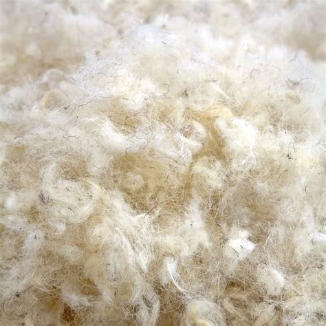 16 Different Types Of Wool Fabric