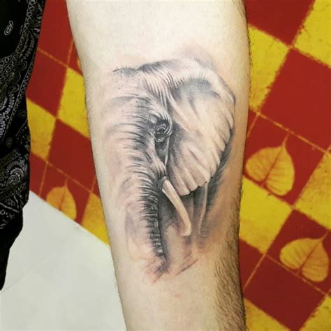 pin von lisaschmidt auf tattoo elefant tattoo ideen elefanten tätowieren