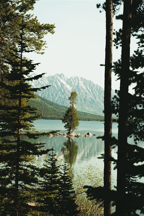 Lake Mountains Spruce Slope Hd Phone Wallpaper Peakpx