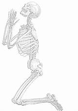 Coloring Skeleton Printable Filminspector Beaver sketch template