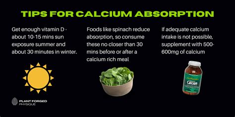 What You Need To Know About Calcium Vegan Easy