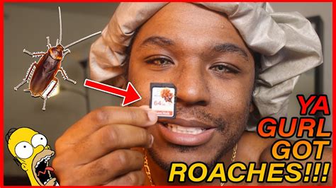 Roaches On Thanksgiving Not For Weak Stomachs Youtube