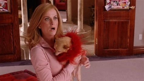 ‘mean Girls Anniversary 16 Of Amy Poehlers Iconic ‘cool