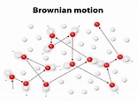 8 Brownian Motion Examples in Real Life – StudiousGuy