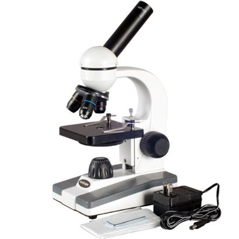 ️ Bright Field Compound Microscope The Compound Light Microscope 2019