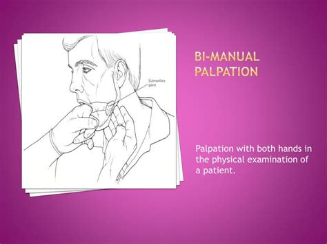 Ppt Head And Neck Review Intraextra O Ral Examination Powerpoint
