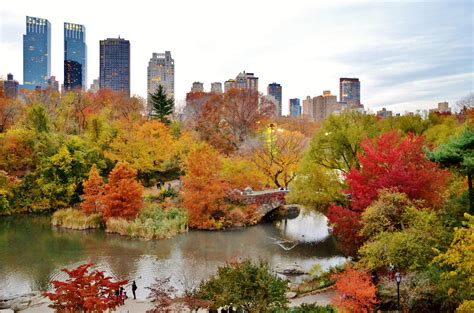 10 Best Places To See Foliage In Central Park Untapped New York