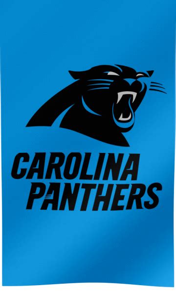 Carolina Panthers Fan Flag  All Waving Flags