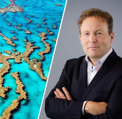 Great Barrier Reef Aktuelle News Bilder And Infos Welt