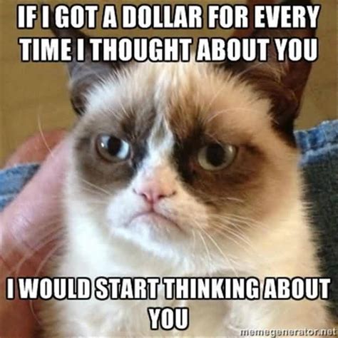 30 Hilarious Grumpy Cat Meme Images And Funny Pictures Picsmine