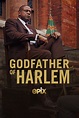 Godfather of Harlem (TV Series 2019- ) - Posters — The Movie Database ...