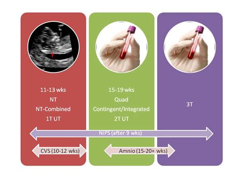 What Is The Optimal Prenatal Testing Protocol For Down Syndrome — Down