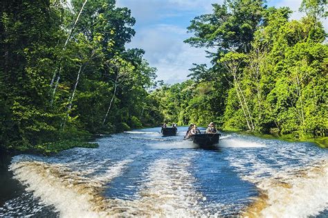 Guide To Amazon River Cruises Expedition Cruise Specialists