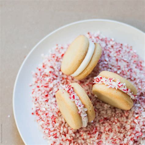 Candy Cane Cookies By Stocksy Contributor Tina Crespo Stocksy