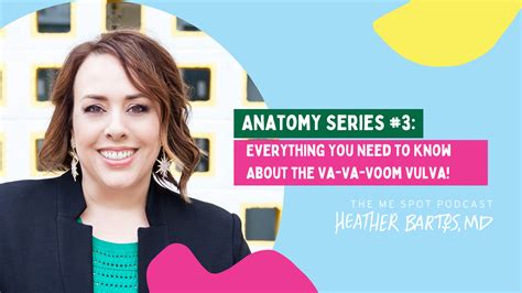 Anatomy Series 3 Everything You Need To Know About The Va Va Voom